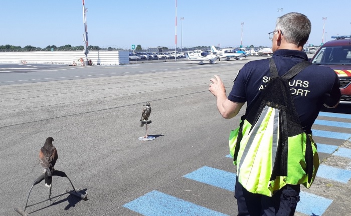 Journée "portes ouvertes" de l'Aéroclub de Loire-Atlantique - 17 Mai 2025